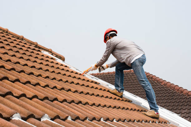 Best Roof Ventilation Installation  in Braham, MN